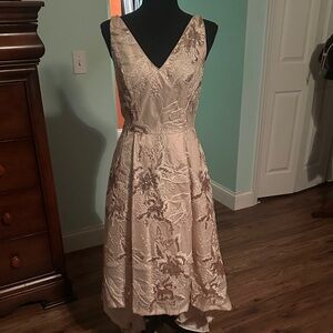 Calvin Klein Collection Beige High Low Dress